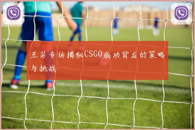 王芳专访揭秘CSGO成功背后的策略与挑战
