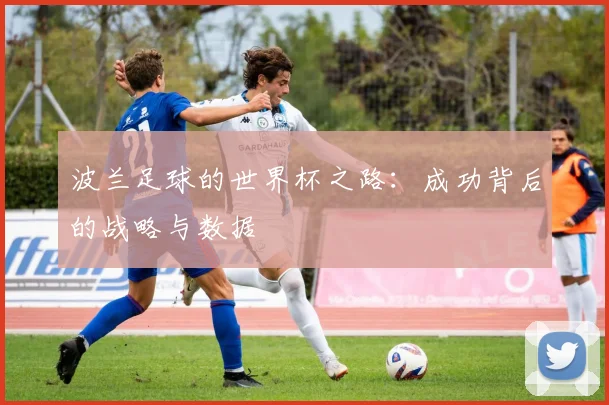 波兰足球的世界杯之路：成功背后的战略与数据