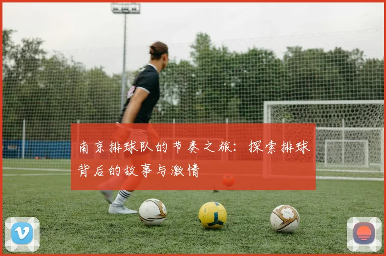 南京排球队的节奏之旅：探索排球背后的故事与激情